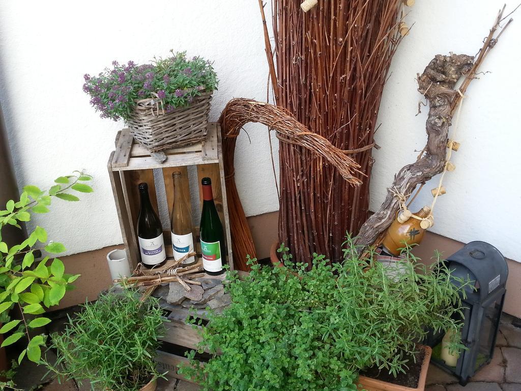 Ferienwohnung Weingut Ackermann Zeltingen-Rachtig Exterior photo