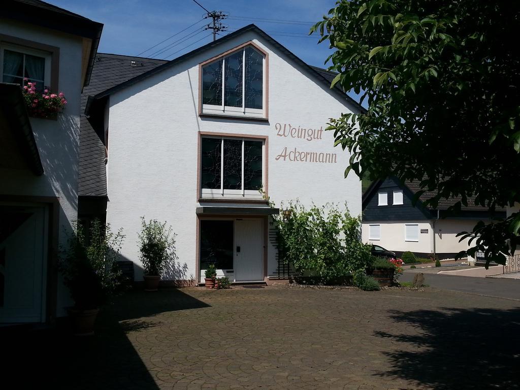 Ferienwohnung Weingut Ackermann Zeltingen-Rachtig Exterior photo